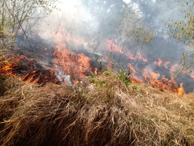 Bomberos atiende incendios de pastizales