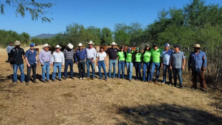 CURSO TEÓRICO-PRÁCTICO DE GANADERÍA REGENERATIVA EN ALAMOS, SONORA.