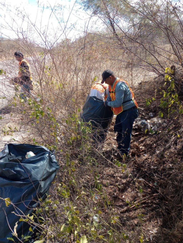 Realizan labores intensivas de limpieza en la carretera Álamos-Navojoa