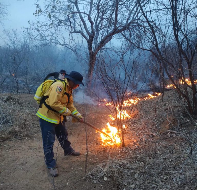 Controlan incendio en comunidades de Álamos