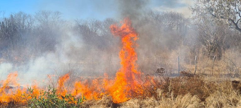 Atiende brigada municipal incendio forestal