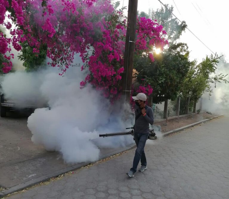 Mantienen acciones de prevención para evitar el Dengue