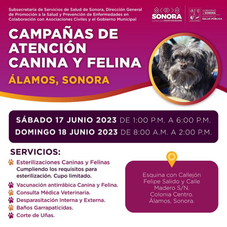 PONDRÁN EN MARCHA CAMPAÑA DE ESTERILIZACIÓN EN ÁLAMOS CANINA Y FELINA