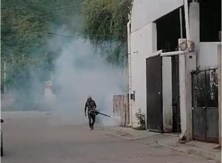 Continúan las acciones para evitar proliferación del mosco transmisor del Dengue