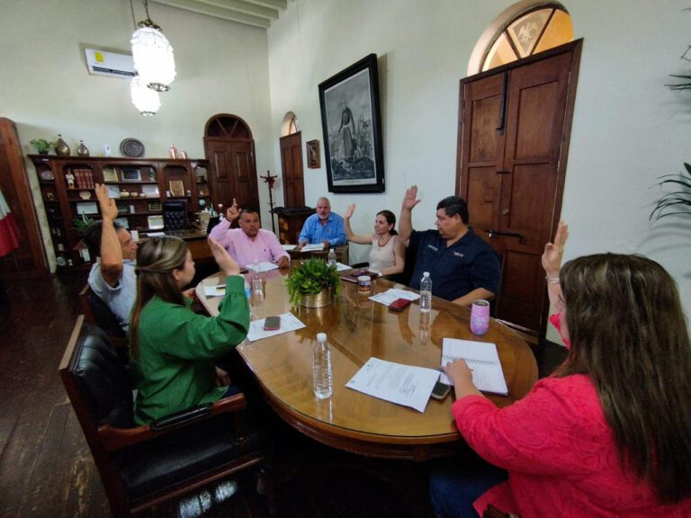 Aprueba Cabildo establecer convenio con la CFE para obra de electrificación de la colonia constitución