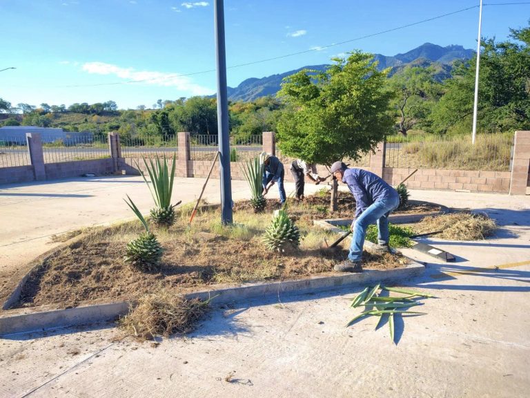 INICIA H. AYUNTAMIENTO DE ÁLAMOS CAMPAÑAS DE LIMPIEZA Y MEJORAS DE ALUMBRADO PÚBLICO