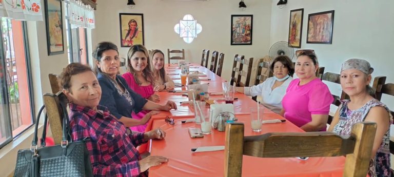 CULMINA ACTIVIDADES POR EL MES ROSA LA PRESIDENTA DEL DIF LA MAESTRA PATRICIA VALENZUELA DE BORBÓN.