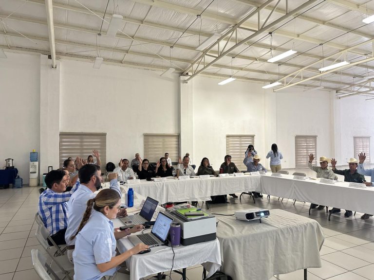 UNIDOS POR PROTEGER NUESTRO PATRIMONIO NATURAL 🌿🏔️