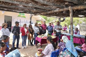 ACCIONES QUE NUTREN EL FUTURO